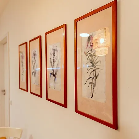 Anur Appartement Ptuj